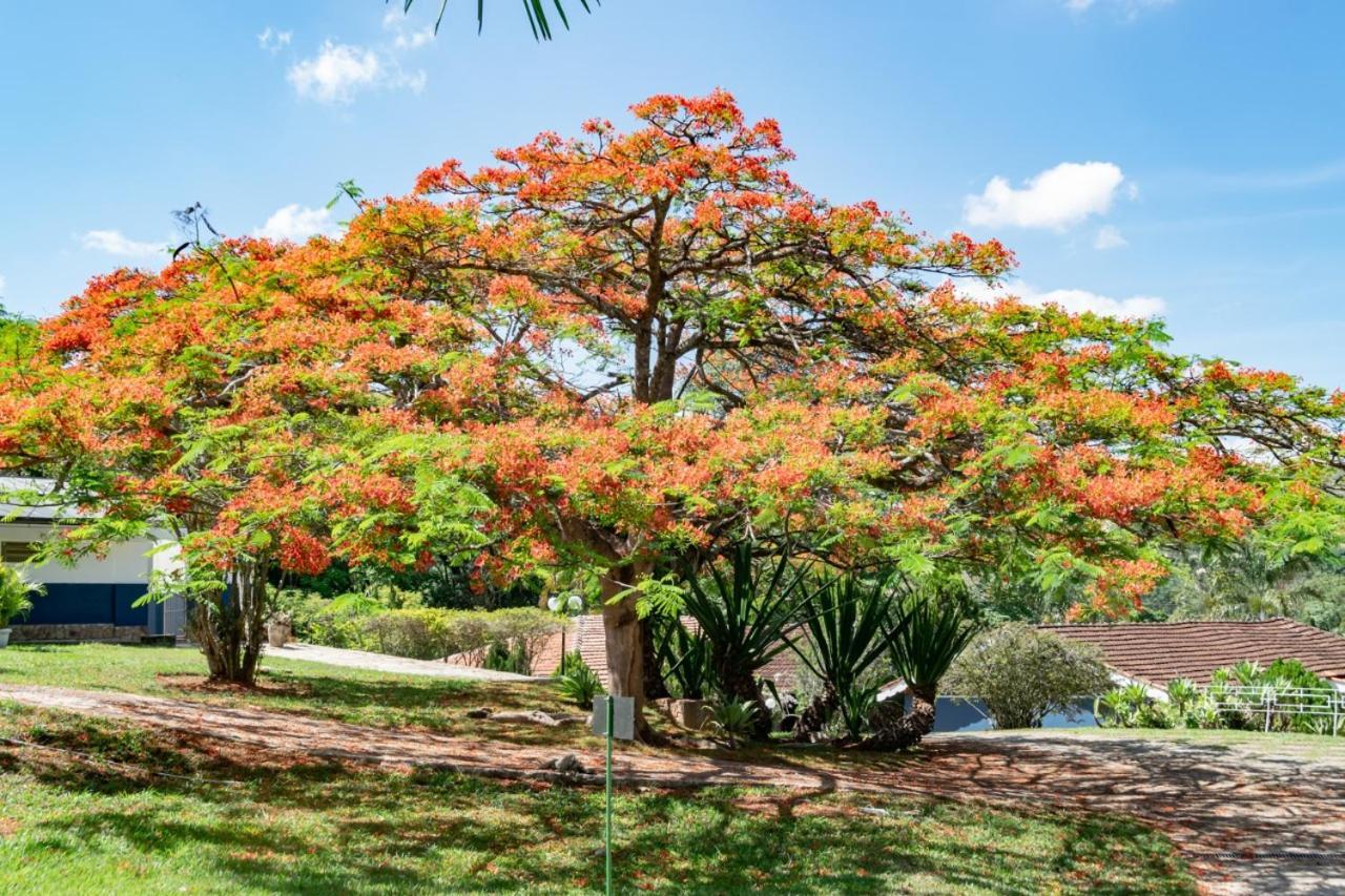 Villa Do Sossego Pousada Lindóia Exteriér fotografie